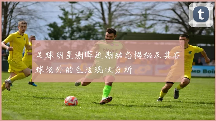 足球明星谢晖近期动态揭秘及其在球场外的生活现状分析