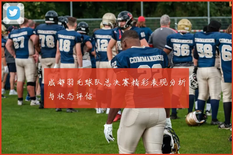 成都羽毛球队总决赛精彩表现分析与状态评估