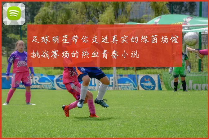 足球明星带你走进真实的绿茵场馆挑战赛场的热血青春小说