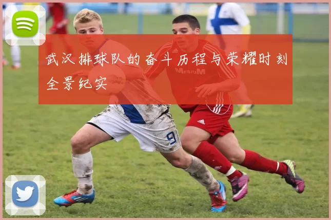 武汉排球队的奋斗历程与荣耀时刻全景纪实