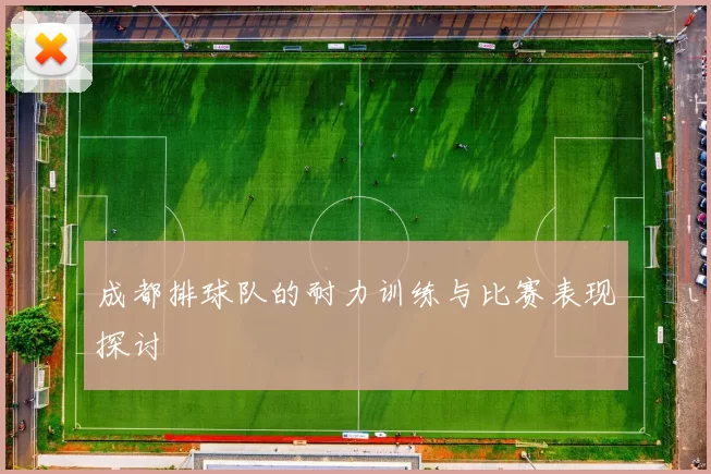 成都排球队的耐力训练与比赛表现探讨