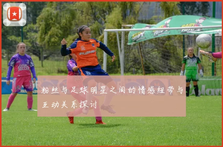 粉丝与足球明星之间的情感纽带与互动关系探讨