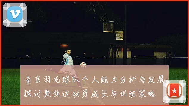 南京羽毛球队个人能力分析与发展探讨聚焦运动员成长与训练策略
