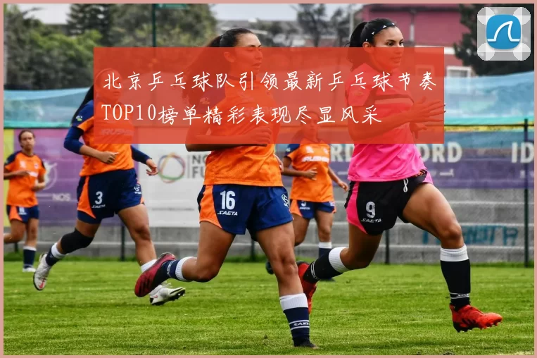 北京乒乓球队引领最新乒乓球节奏TOP10榜单精彩表现尽显风采