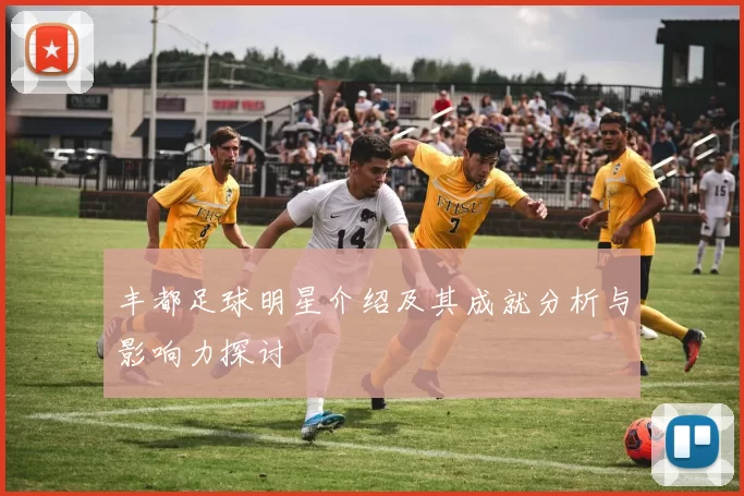 丰都足球明星介绍及其成就分析与影响力探讨