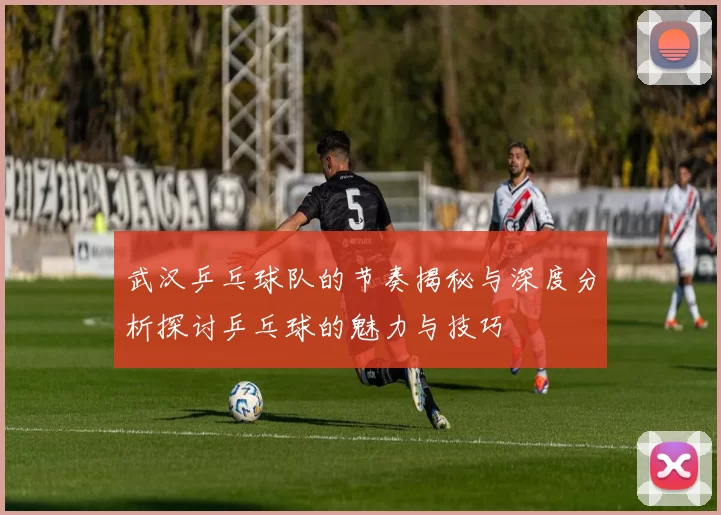 武汉乒乓球队的节奏揭秘与深度分析探讨乒乓球的魅力与技巧