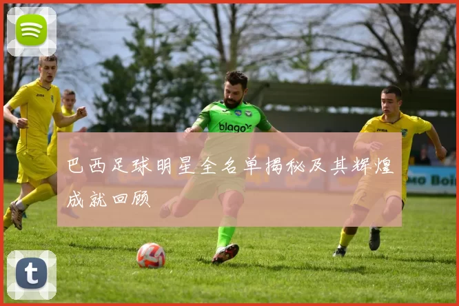 巴西足球明星全名单揭秘及其辉煌成就回顾