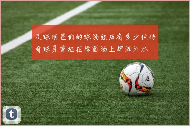 足球明星们的球场经历有多少位传奇球员曾经在绿茵场上挥洒汗水