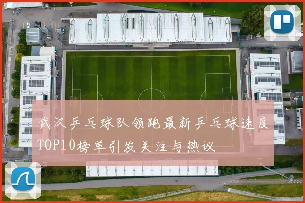 武汉乒乓球队领跑最新乒乓球速度TOP10榜单引发关注与热议