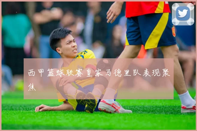 西甲篮球联赛皇家马德里队表现聚焦