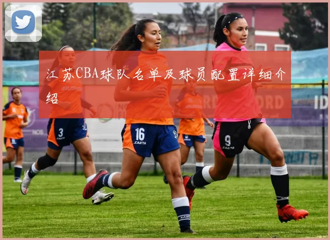 江苏CBA球队名单及球员配置详细介绍