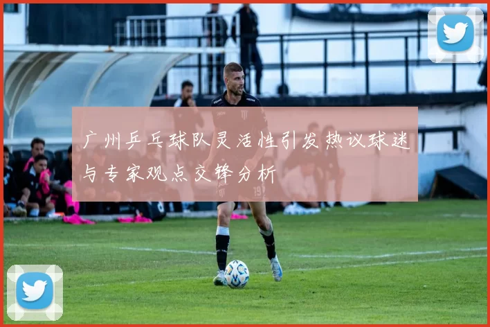 广州乒乓球队灵活性引发热议球迷与专家观点交锋分析