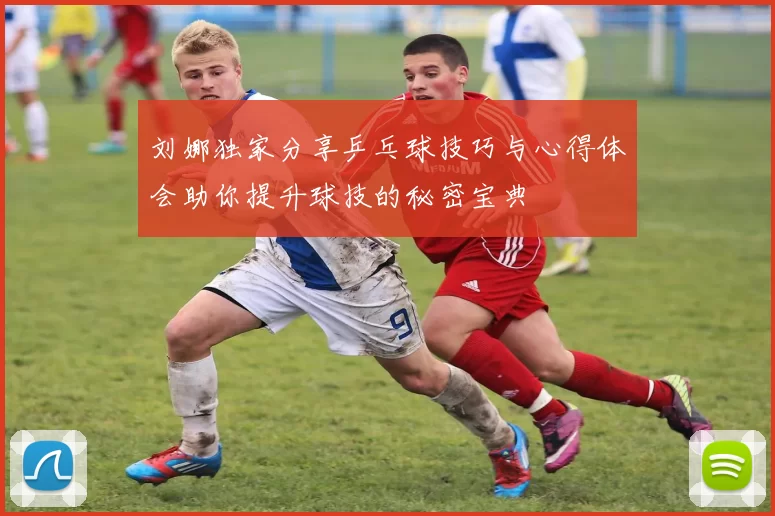 刘娜独家分享乒乓球技巧与心得体会助你提升球技的秘密宝典