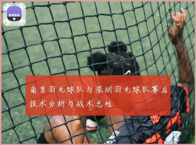 南京羽毛球队与深圳羽毛球队赛后技术分析与战术总结