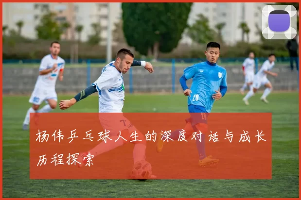杨伟乒乓球人生的深度对话与成长历程探索