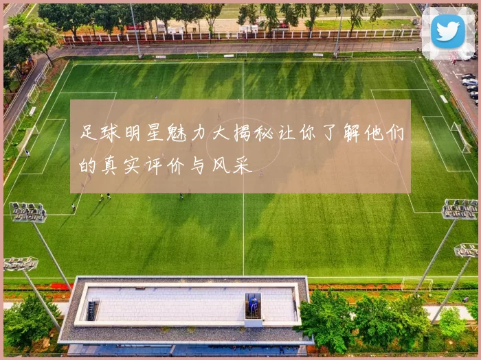 足球明星魅力大揭秘让你了解他们的真实评价与风采