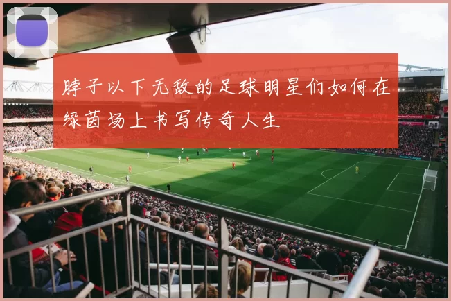 脖子以下无敌的足球明星们如何在绿茵场上书写传奇人生