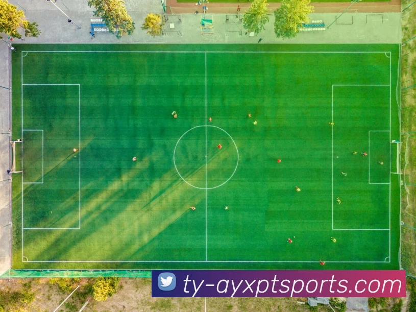 爱游戏平台生态图